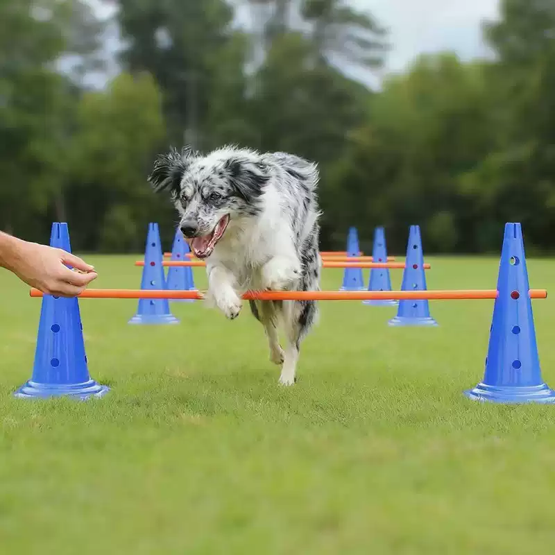 Agility Hurdle Set - 30CM Köpek Çeviklik Engel Seti, Atlama