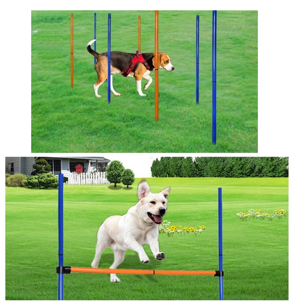 Pet köpek çeviklik ekipmanları - Agility Hurdle Set incelemesi ve fiyatı