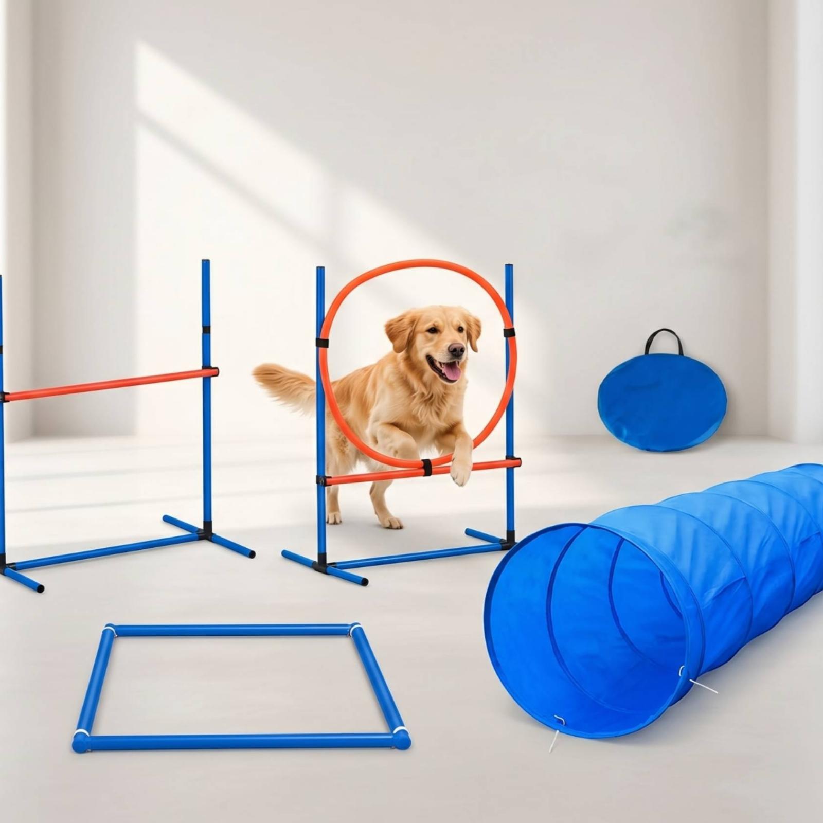 Etkileşimli Köpek Çeviklik Set - Agility Hurdle Set incelemesi ve fiyatı