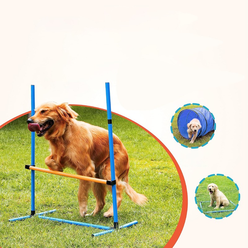 Amazon Köpek Eğitim Ekipmanlar - Agility Hurdle Set incelemesi ve fiyatı